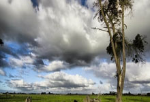 包含大满贯-林诗栋/蒯曼混双夺冠国乒男双出局的词条